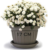 Kleiner Topf mit Teller - 17 cm Topf mit Teller | Praktisches und leichtes Design | Perfekt für Pflanzen, Stecklinge oder Frühtriebe 17 cm