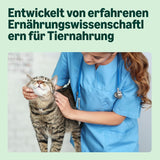 Getreidefreies Nassfutter für Katzen von Amazon für ausgewachsene Katzen, Auswahl an Fleisch in Gelee, 4,76 kg, 56 Packungen à 85 g (ehemals lebenslang)