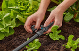Gardena Micro-Drip-System T-Stück für Sprühdüsen: Verbindung zwischen 13 mm Rohren und einer Sprühdüse, automatische Pflanzenbewässerung, schnelle und einfache Verbindungstechnik, wiederverwendbar (13206-20)
