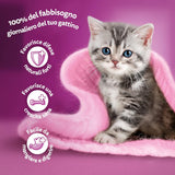 Whiskas Junior Classic Nassfutter für Katzen, 13 x 4 x 85 g