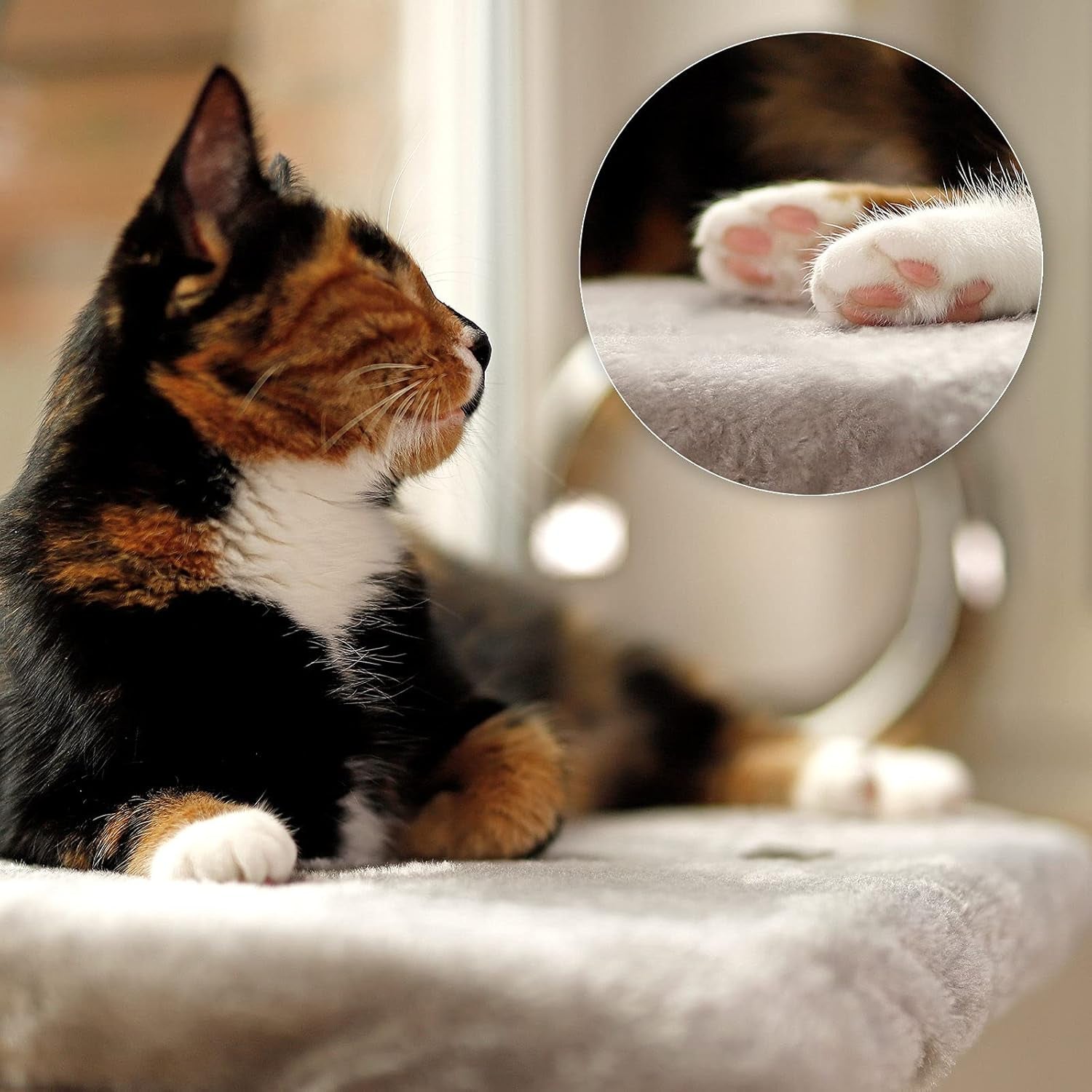Decken und Möbel, Fensterbänke, Haustiere, Katzen, Betten für Katzen, Katzenbetten, Matratzen