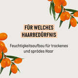 Guhl Fresh & Fruity Shampoo - Inhalt: 250 ml - Haartyp: Normal Dusche und Bad Guhl