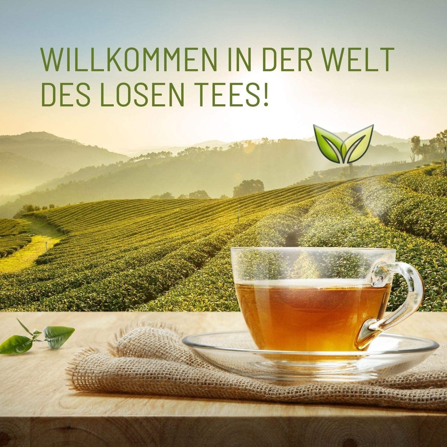 Teeverliebt Bergkräutertee, loser Kräutertee aus Brombeerblättern, Bio-Teemischung, 1 kg