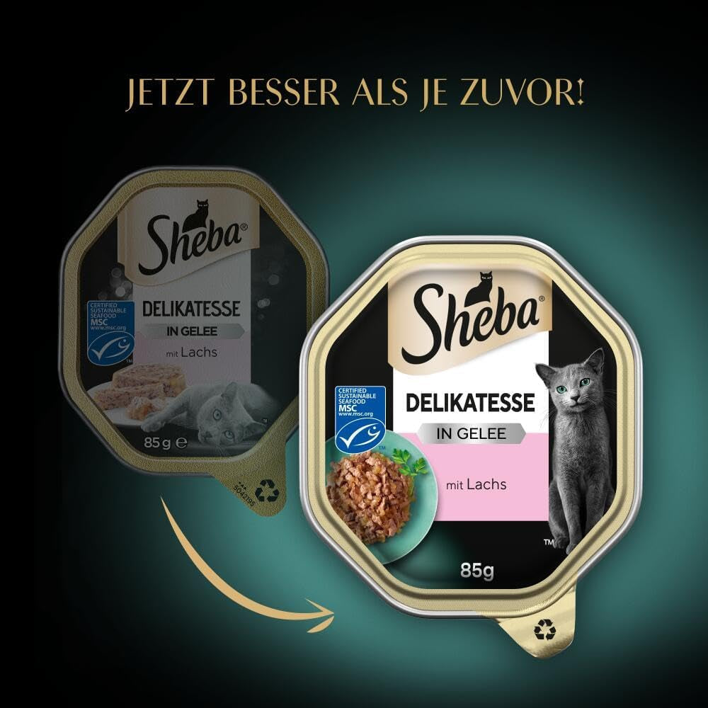 Sheba Nassfutter für Katzen, Delikatesse in Lachsgelee, 2 x 11 x 85 g