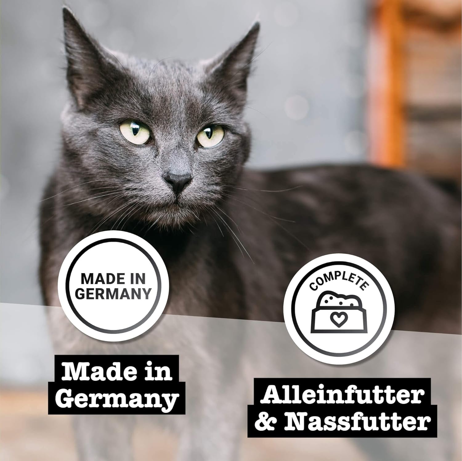 Nassfutter für Katzen Catz Finefood Purrrr mit Monoprotein und Lachs Nr. 105, für Katzen mit empfindlicher Verdauung, 16 x 80 g