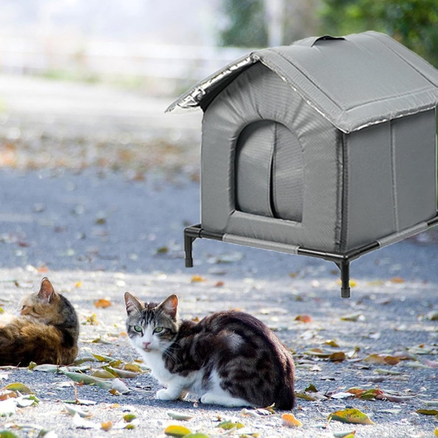 Decken und Möbel, Haustiere, Höhlen und Häuser, Katzen, Katzenbetten, Katzenbetten, Matratzen