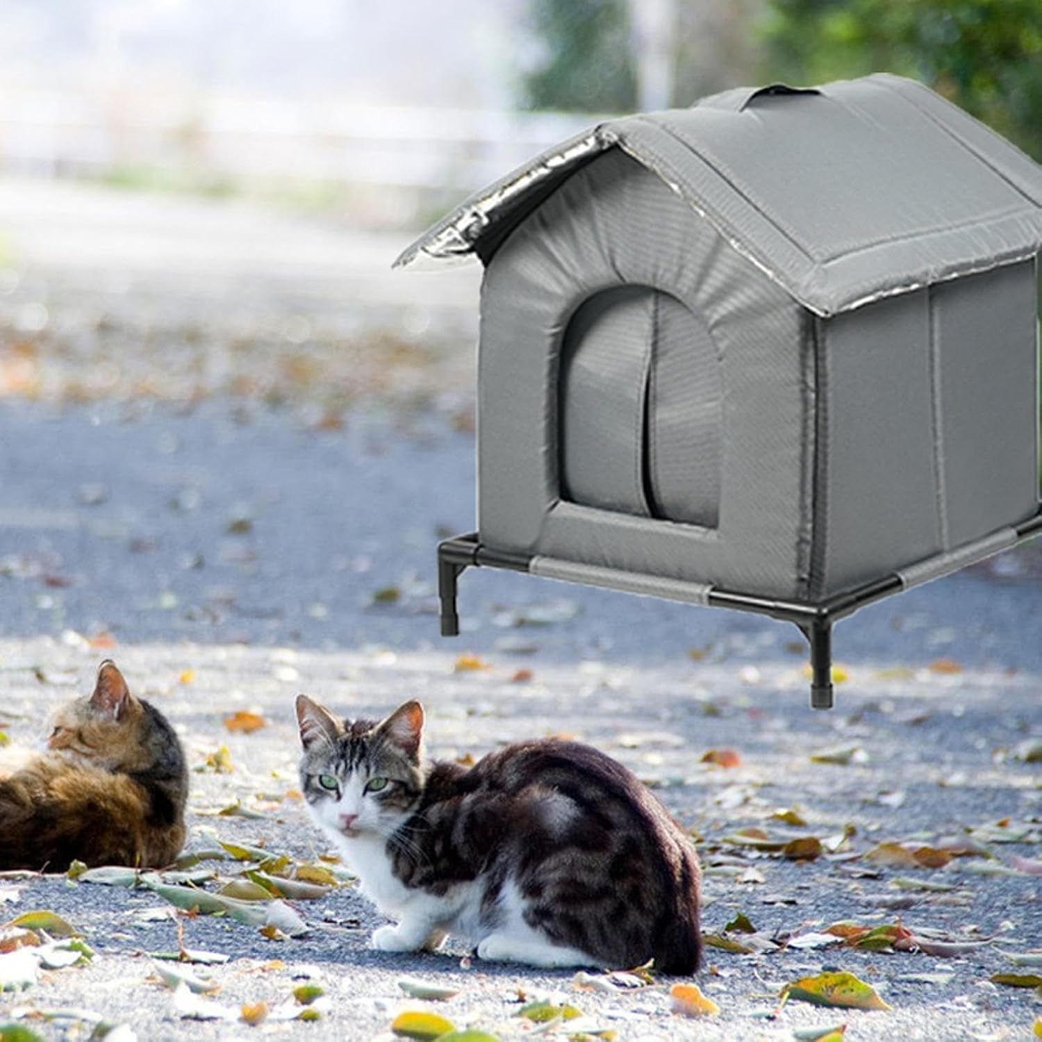 Decken und Möbel, Haustiere, Höhlen und Häuser, Katzen, Katzenbetten, Katzenbetten, Matratzen
