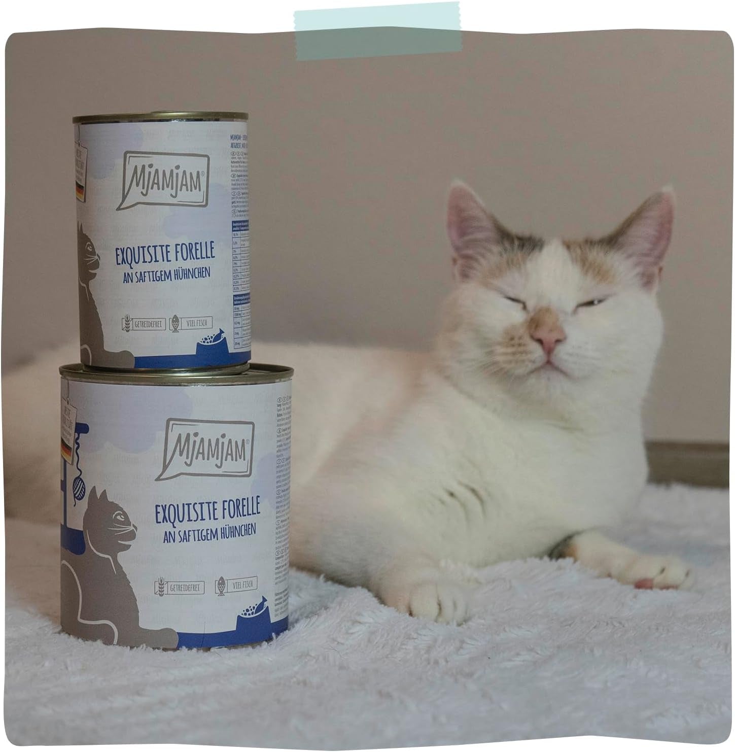 MjAMjAM – Premium Nassfutter für Katzen – Verfeinerte Forelle mit saftigem Huhn, 6er-Pack (6 x 400 g), getreidefrei