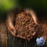 Biozentrale ganze Leinsamen | 7 x 400g Bio-Leinsamen | Ideal für Joghurt, Müsli und Brot | Alternativ zu Flohsamen, Samen aus Samen und Samen aus Chia