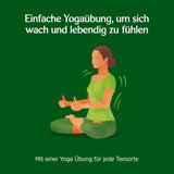 Yogi Tea – Grüner Tee mit Ingwer und Zitrone, Bio-Ayurvedischer Tee mit Gewürzen und Kräutern, Mischung aus grünem Tee, Ingwer und Zitrone, Yogi Tea 3er-Pack, 3 x 17 Teebeutel (insgesamt 51 Teebeutel), ideal als Geschenk