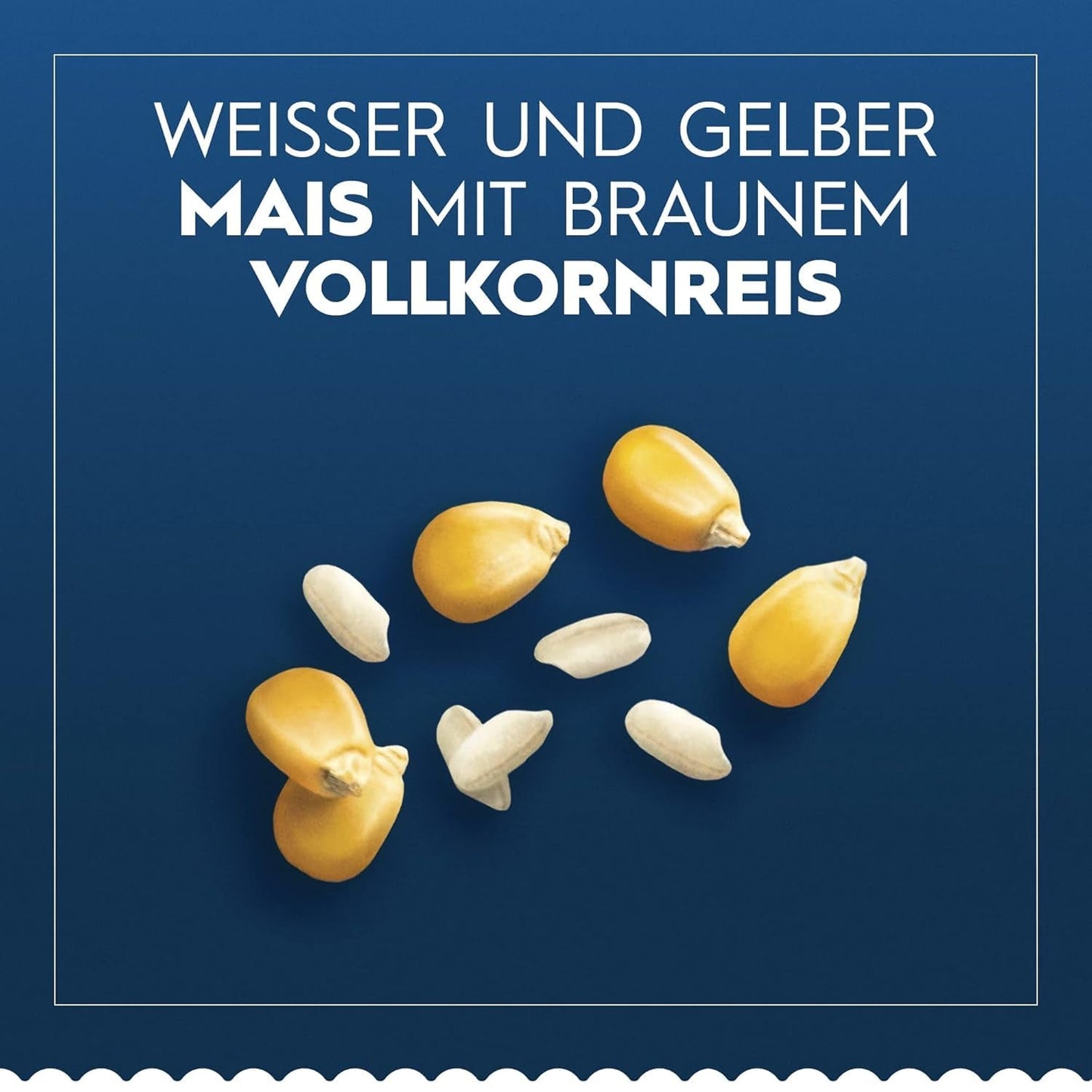 Glutenfreie Lasagne von Barilla Pasta, hergestellt aus köstlichem Mais und Reis, perfekt für Menschen mit Zöliakie oder Glutenunverträglichkeit, 10er-Packung (10 x 250 g)