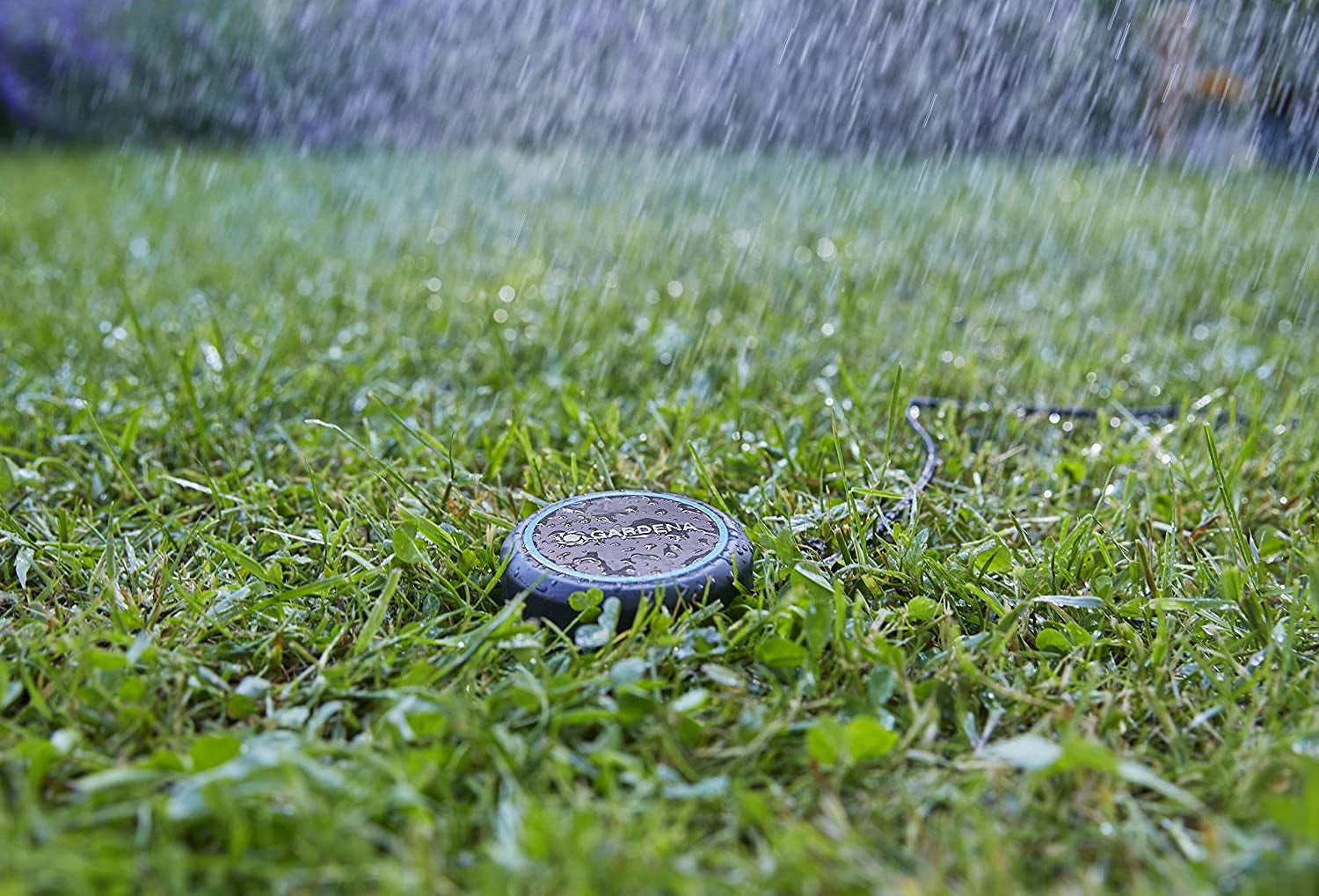 Gardena Verlängerungskabel (10 m) für Regensensor und Bodenfeuchtesensor, Verbindungskabel mit Easy Click System, verlängerbar bis 105 m, für ober- und unterirdischen Einsatz (01868-20)