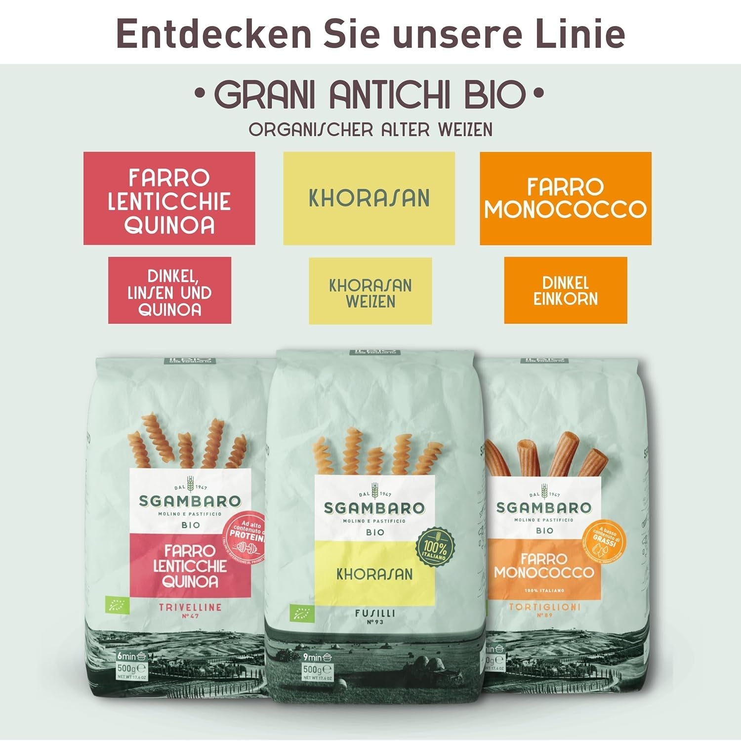 Bio-Spaghetti-Nudeln Nr. 5 - 500 g Khorasan-Weizen – uralter Weizen, reich an Proteinen, 100 % in Italien angebaut – vielseitig in der Küche und reich an Nährstoffen