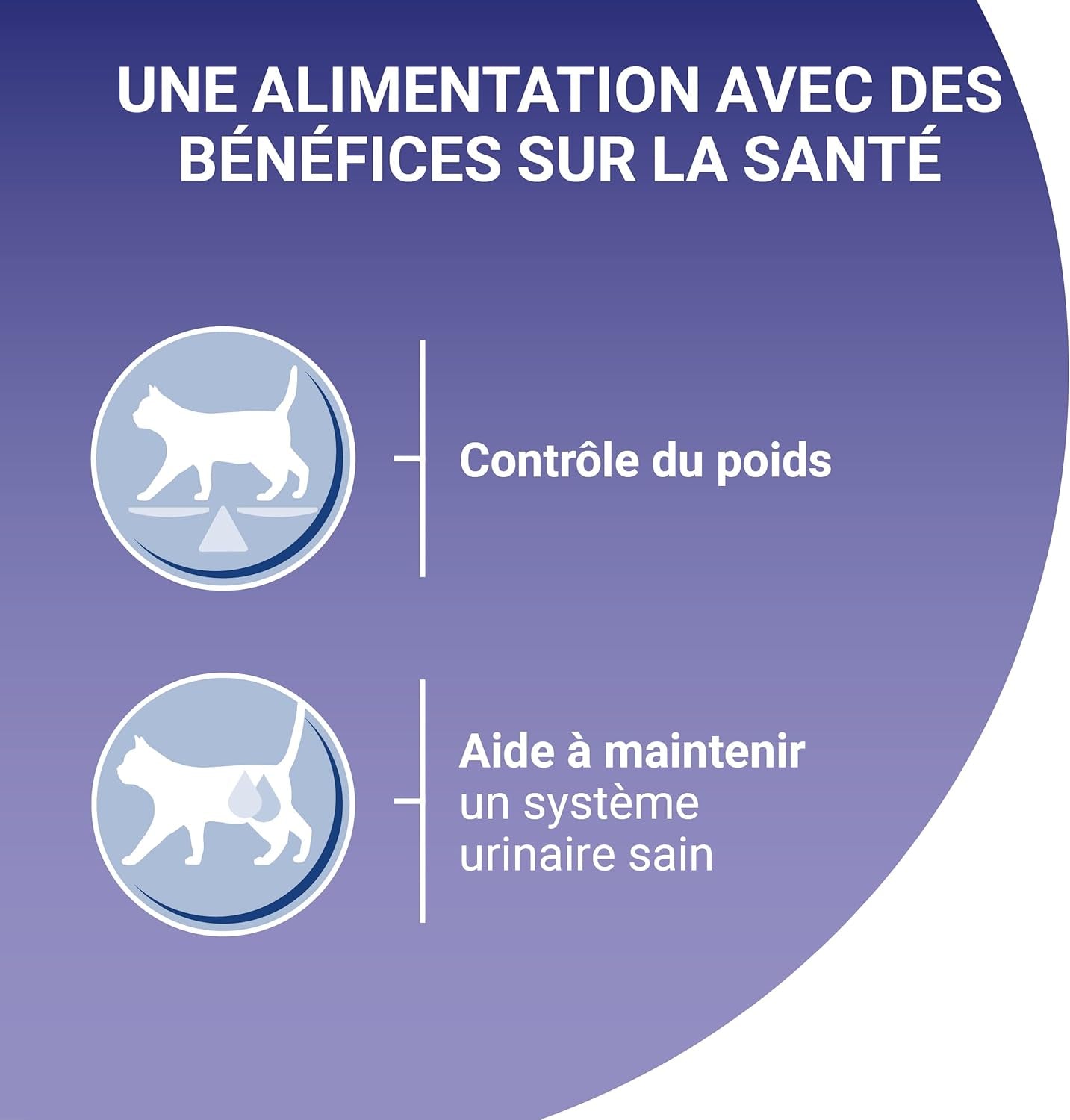 PURINA EINS | BIFENSIS | Futter für sterilisierte erwachsene Katzen | Unterstützt die Vitalität, Knochen, Muskeln und Gelenke der Katze | In Soße | Beutel mit Ente, Sardinen, Rindfleisch, Frische | 1 Stück (8 x 85g)