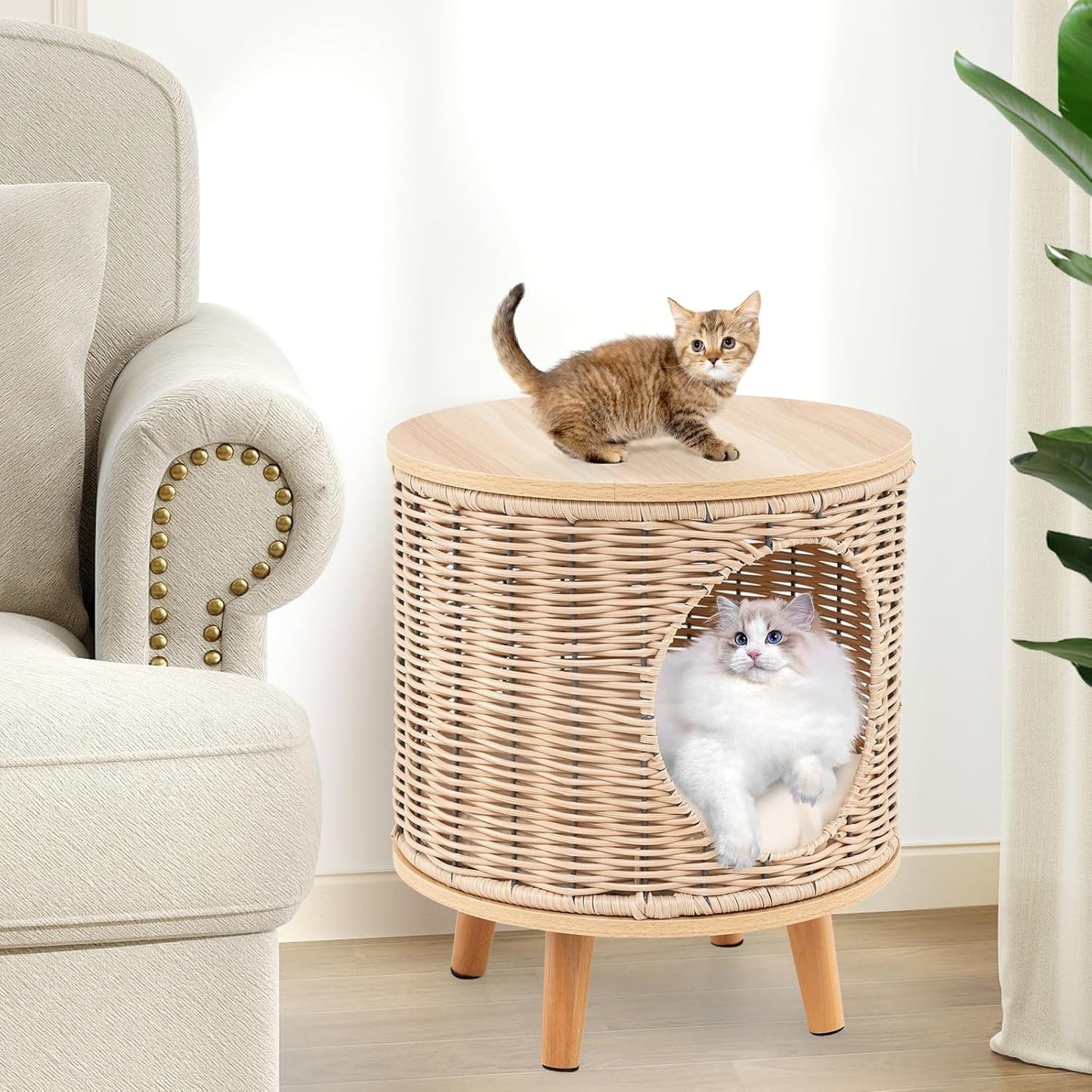 Katzenhaus Rattan, Katzenmöbel mit Holzbeinen & weichen Kissen, 3 in 1 Katzenhöhle Fußhocker Nachttisch, Katzenbett stabil bis 30 kg für Wohnzimmer Schlafzimmer