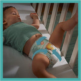 Pampers Windeln für Babys Größe 5 (11-16 kg), 24 Stück, bis zu 12 Stunden Auslaufschutz