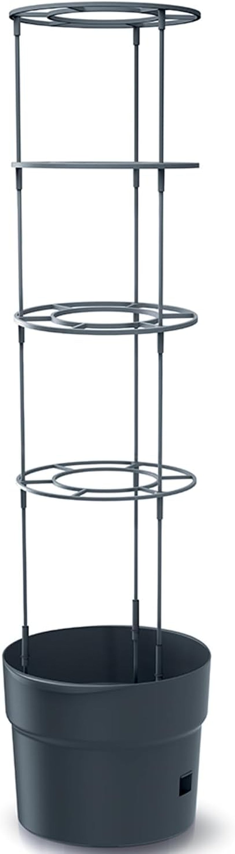 Prosperplast Tomatensämlingstöpfe mit Spalier – Stabiler Pflanzkasten aus Kunststoff | Anthrazit | Witterungs- und UV-beständig | 29,5 x 115,2 cm | Ideal für Garten und Terrasse