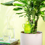 Scheurich Nelly M, Wassertank aus Kunststoff, Farbe: Nelly M, grün, 13 cm breit, 7 cm tief, 22 cm hoch, Volumen 0,2 l.