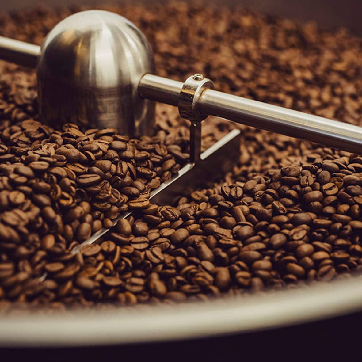 - Mokka 1000g | Kräftiger Kaffee für Schümli und Espresso aus Vollautomaten | Ganze geröstete Kaffeebohnen | Mit 90 % Arabica-Bohnen