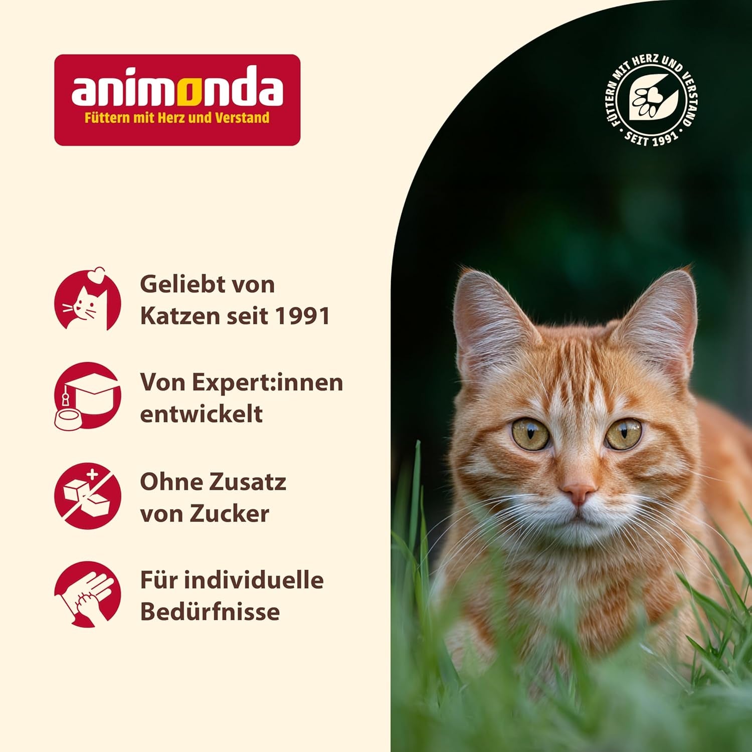 animonda Carny Katzen Nassfutter Kitten Chicken + Pute (12 x 400g), Kitten getreidefreies Katzennassfutter ohne Zucker für wachsende Kätzchen bis 1 Jahr, mit frischen Zutaten