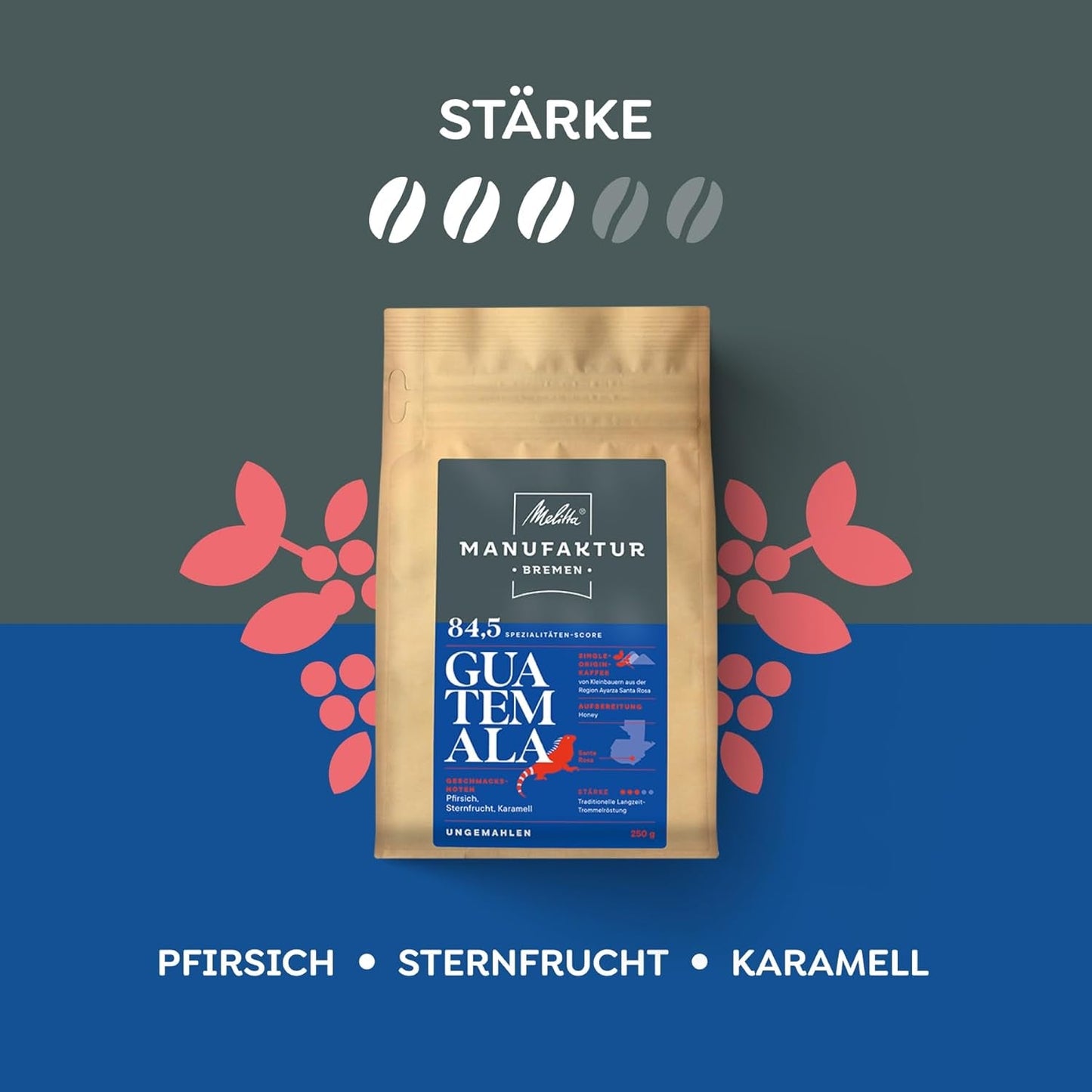 Melitta Manufaktur-Kaffee Guatemala Honig, Spezialitäten, 250g, Ganze Bohnen, Ungemahlen, Single-Origin, Sanfte Trommelröstung, Geröstet in Deutschland, Stärke 3