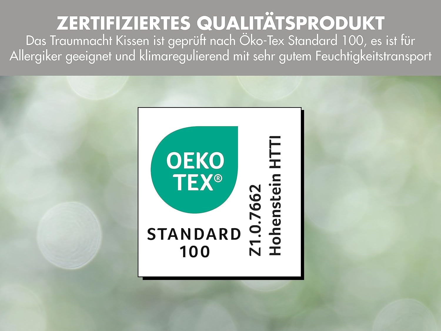 Traumnacht Bambuskissen mit Bambusfasern, hypoallergen, antibakteriell Kissenset mit Reißverschluss, bestehend aus 2 Kissen 40X80Cm, Öko-Tex zertifiziert, in Deutschland entwickelt Naty Shop Standardkissen