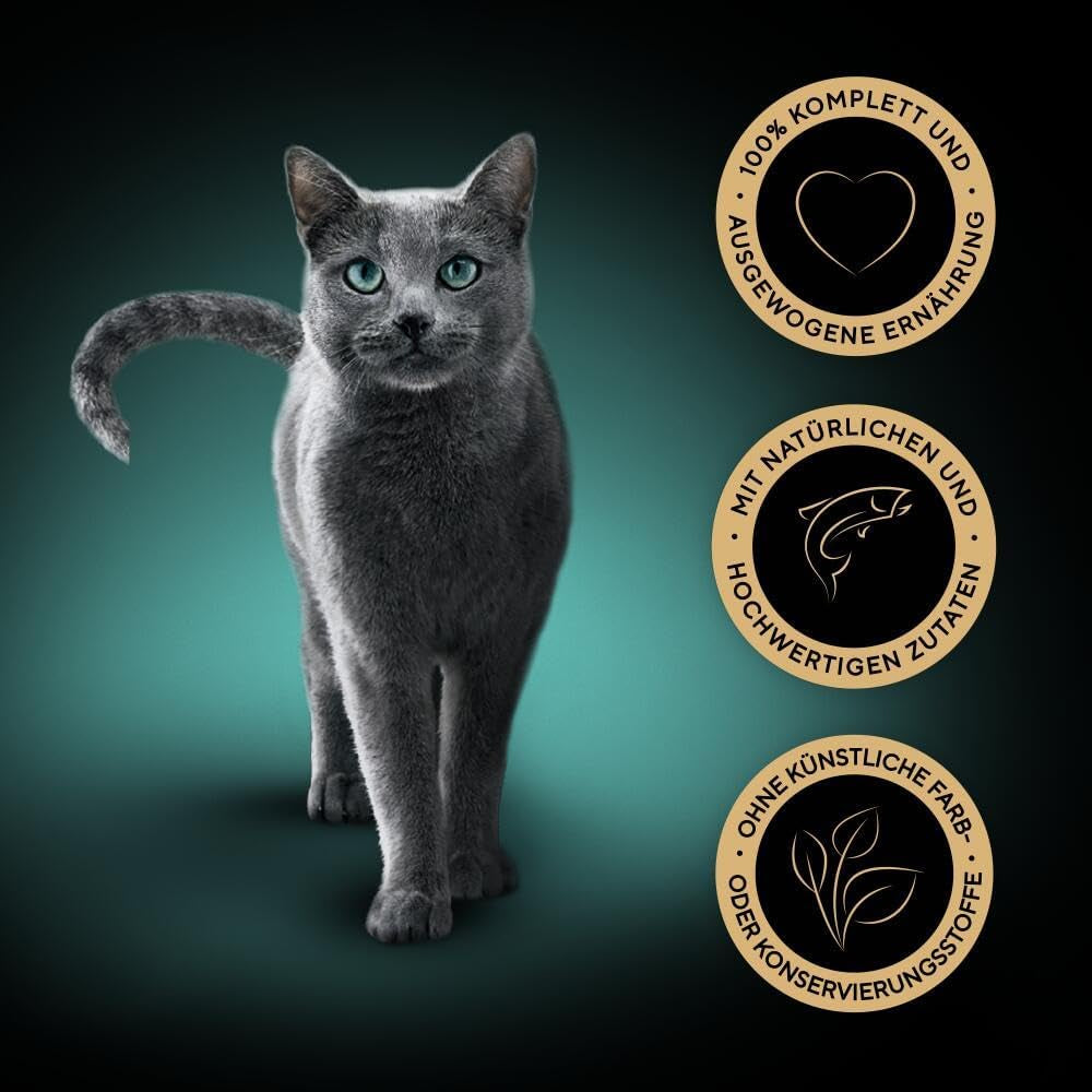 Sheba Nassfutter für Katzen, Delikatesse in Lachsgelee, 2 x 11 x 85 g
