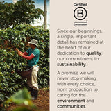 illy, Kaffee E.S.E. Pads Einzeldosis CLASSICO, 100% Arabica mit Noten von Orangenblüten und Jasmin, Sanfter Gesmack und Süßer Nachgeschmack, 1 Packung mit 18 kompostierbaren Kapseln
