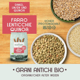 Bio-Penne-Rigate-Nudeln N.91 – 500 g mit Dinkelmehl, Linsenmehl und Quinoa-Mehl – ​​reich an Proteinen, Ballaststoff- und Proteinquelle