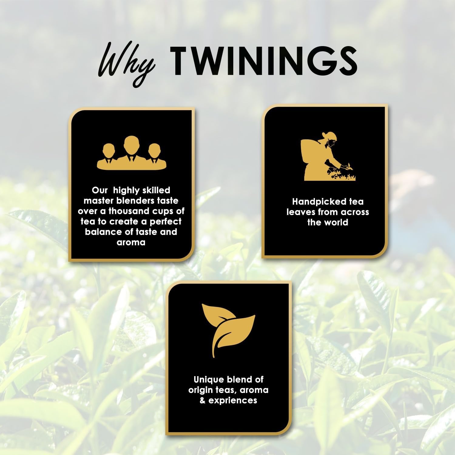 Twinings English Breakfast Black Tea 50g, 25 Teebeutel, voller, runder und kräftiger Schwarztee von den besten Teeplantagen in Sri Lanka und Indien. Schwarzer Tee 1er Pack (1 x 50 g)
