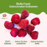 Biolla Food ganze getrocknete Erdbeeren, 0,5 kg, 100 % natürlich. Gesunde Snacks für Kinder. Ideal für Smoothies, Hafermüsli, Tee und Porridge. Lange Haltbarkeit. VEGANE, GLUTENFREI, ROHNAHRUNG Naty Shop Dehydrierte Produkte