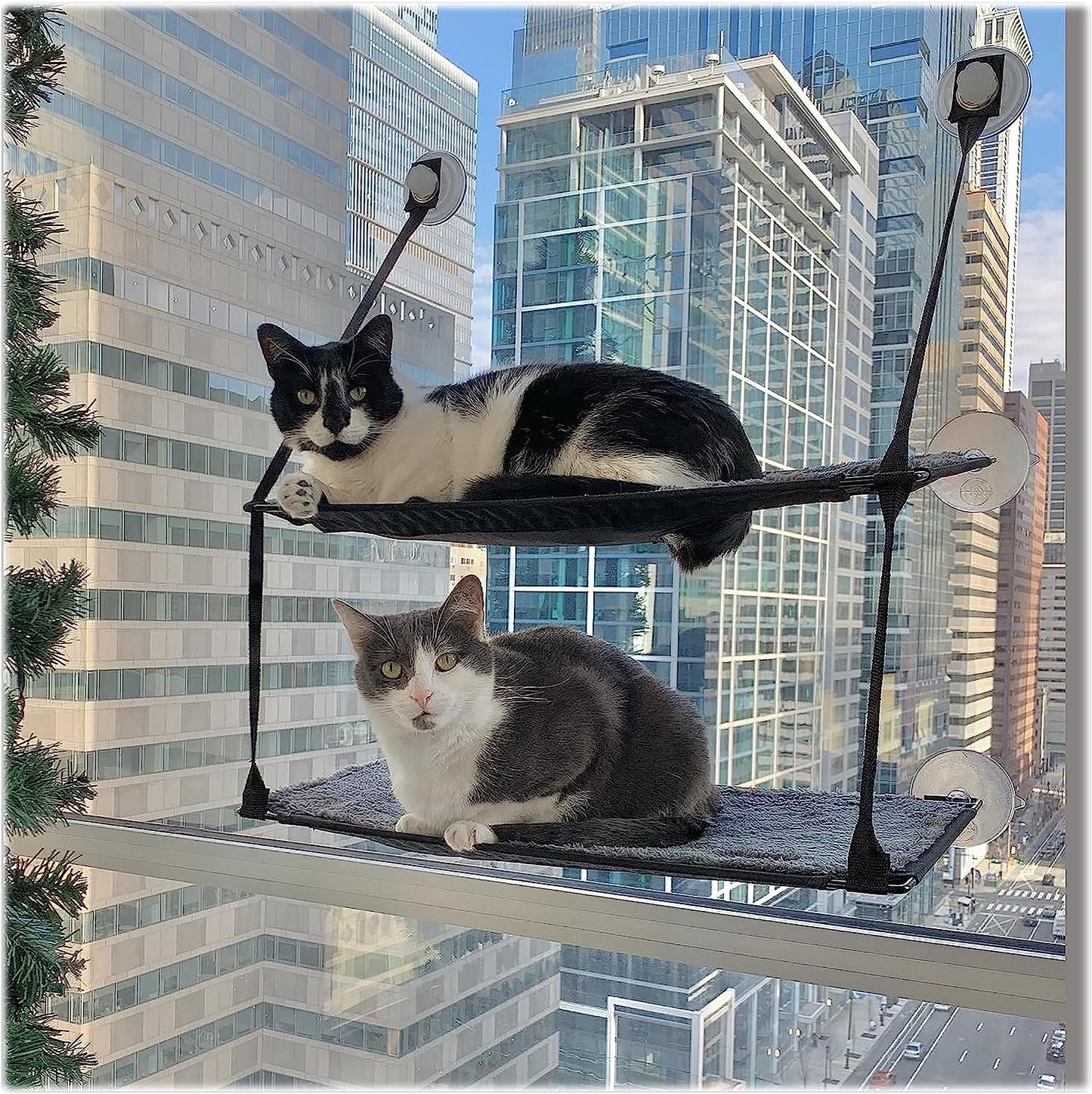 Decken und Möbel, Fensterbänke, Haustiere, Katzen, Betten für Katzen, Katzenbetten, Matratzen