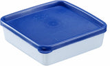 Westmark 4 Frischhalte-/Gefrierbehälter, inklusive Deckel, Fassungsvermögen: je 0,25 l, stapelbar, Kunststoff, Trio, Farbe: transparent/blau, 25042270 Frischhaltedosen Naty Shop