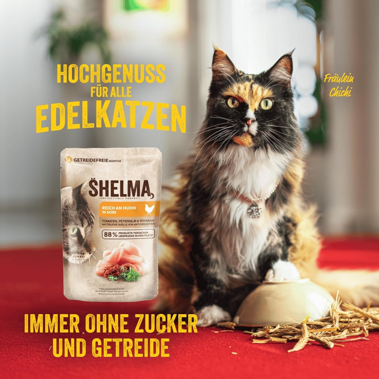 Shelma Nasses Katzenfutter Megapack mit Rind, Truthahn, Huhn und Ente – getreidefreies Vollfutter mit hohem Fleischanteil – 40 x 85 g (3,4 kg)