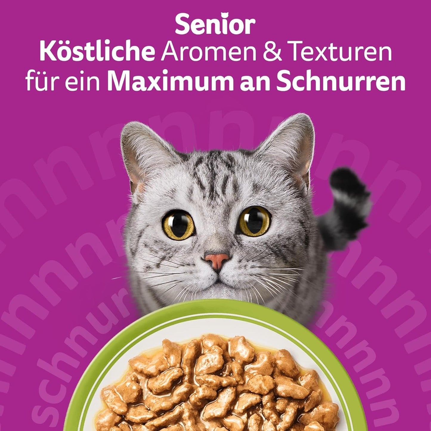 Whiskas Senior 7+ Nassfutter Gemischte Auswahl in Gelee, 84 Beutel, 84x85g (1 Großpackung) – Hochwertiges Nassfutter für Katzen ab 7 Jahren