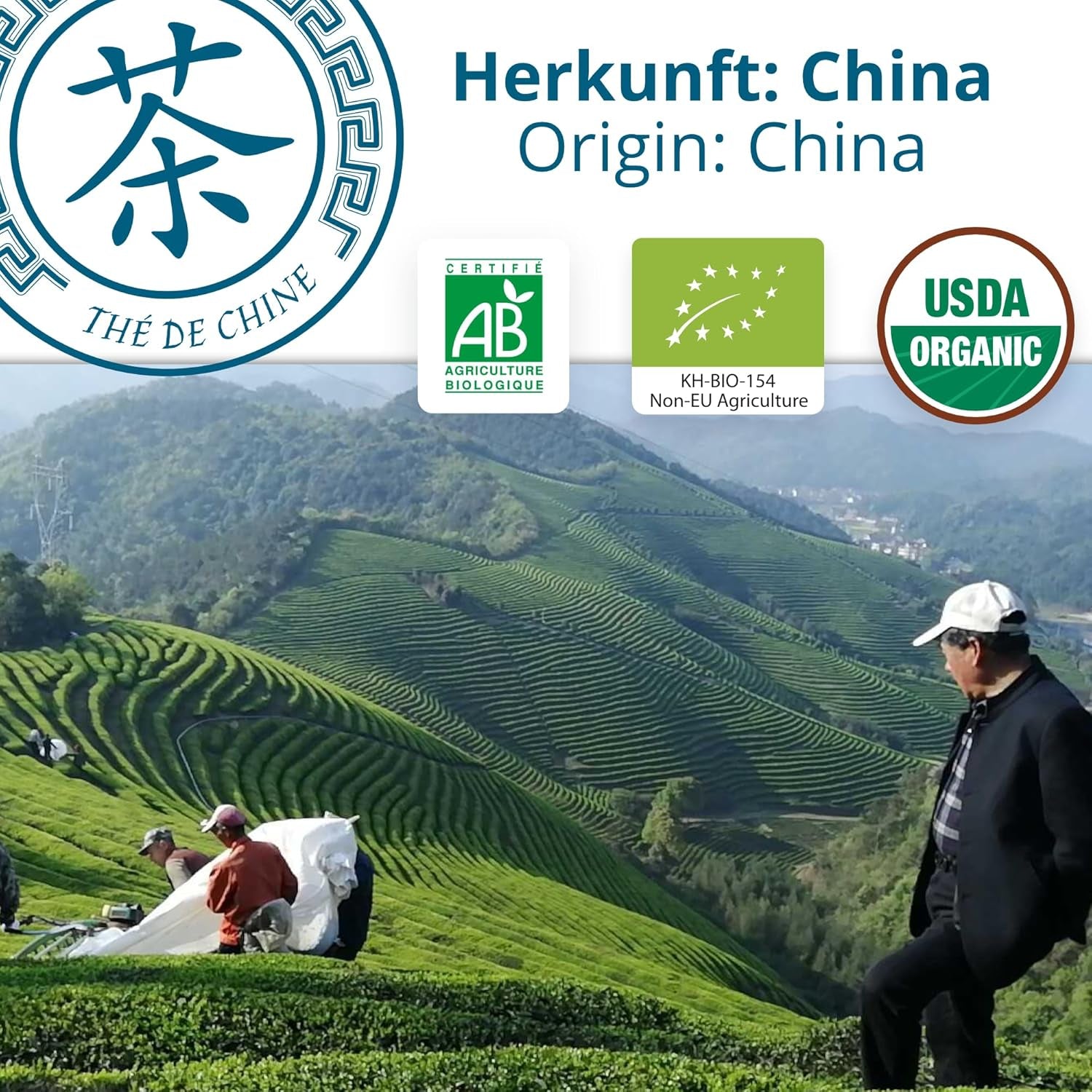 Khla – Bio-Oolong-Tee 100 g – Blauer Tee – natürlicher loser Tee – asiatischer Bio-Tee – lose und geschnitten – Kräuter- und Aufgusstee – aus China