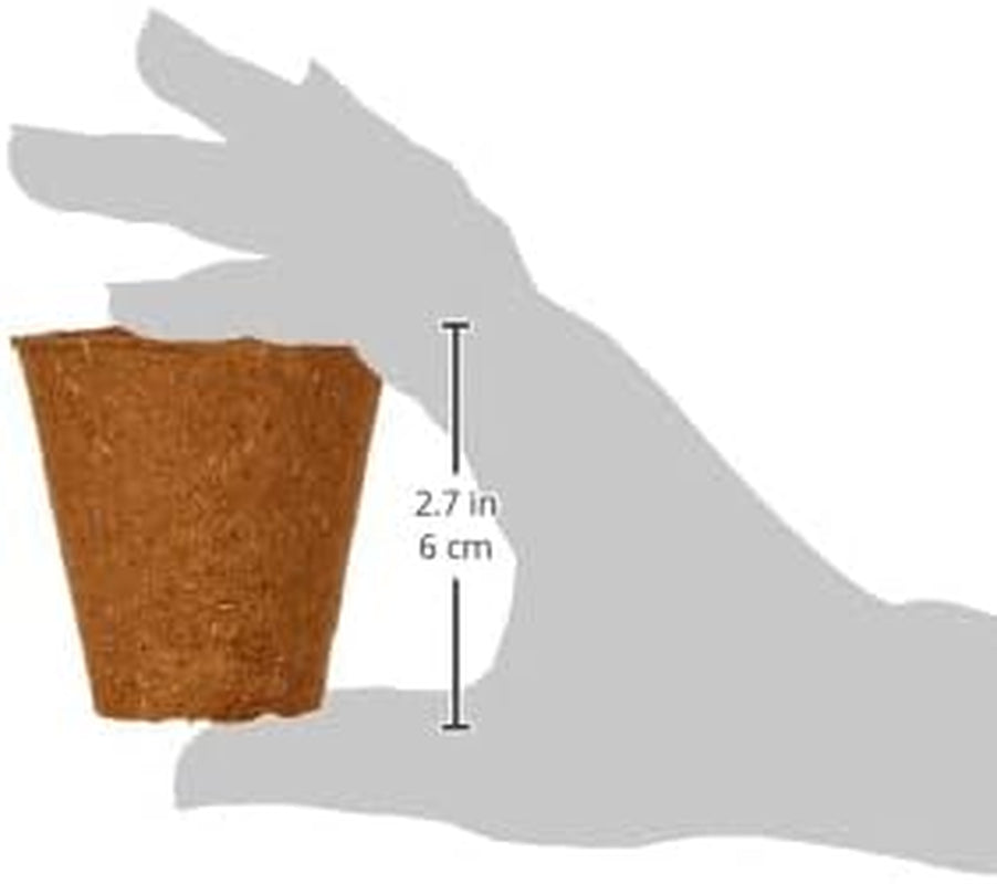 Dehner Töpfe für Setzlinge, rund, Ø 6 cm, 96 Stück, braun
