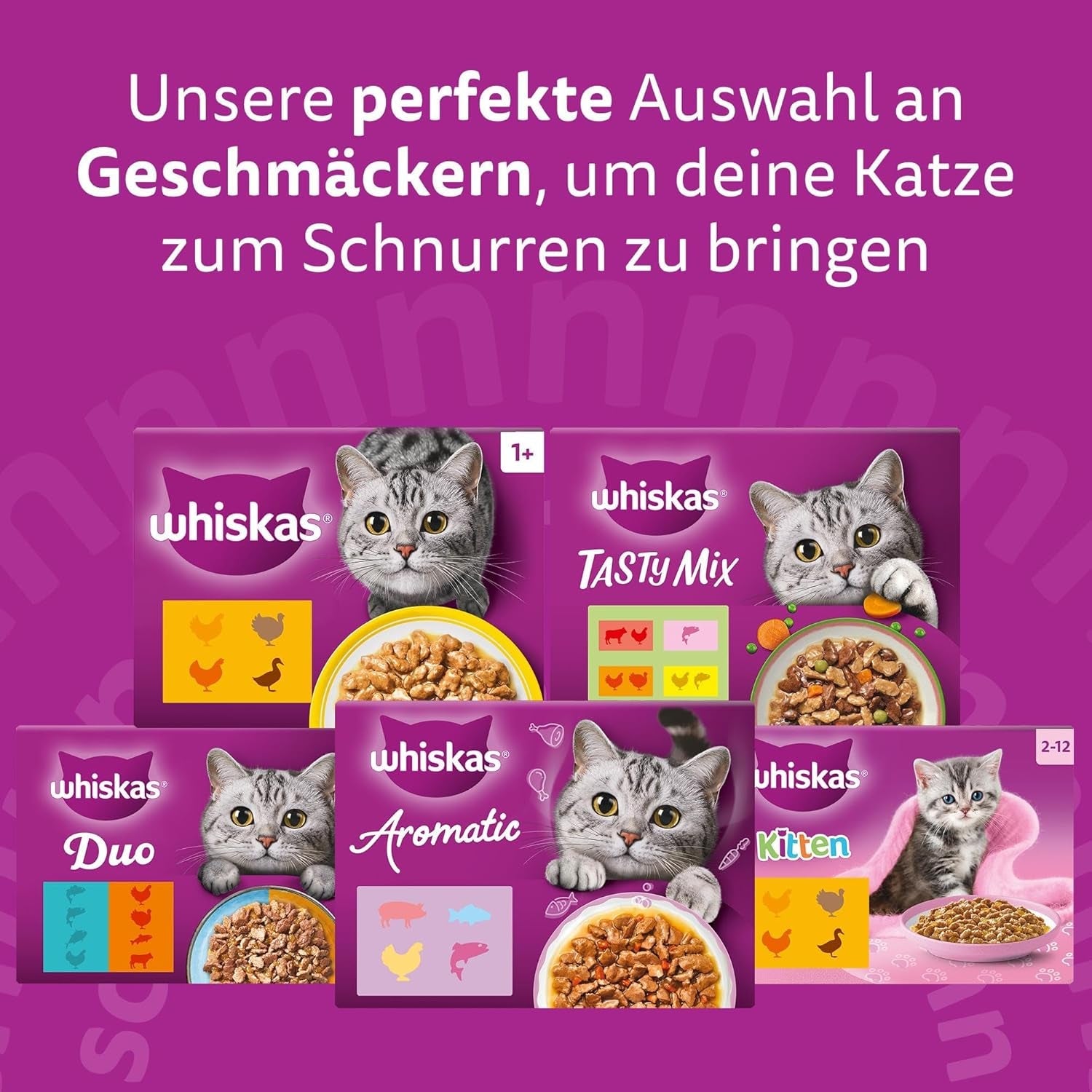WHISKAS PURE DELIGHT Nassfutter in Gelee 24 x 85g Classic Ragout (4 Packungen) 48 Portionsbeutel