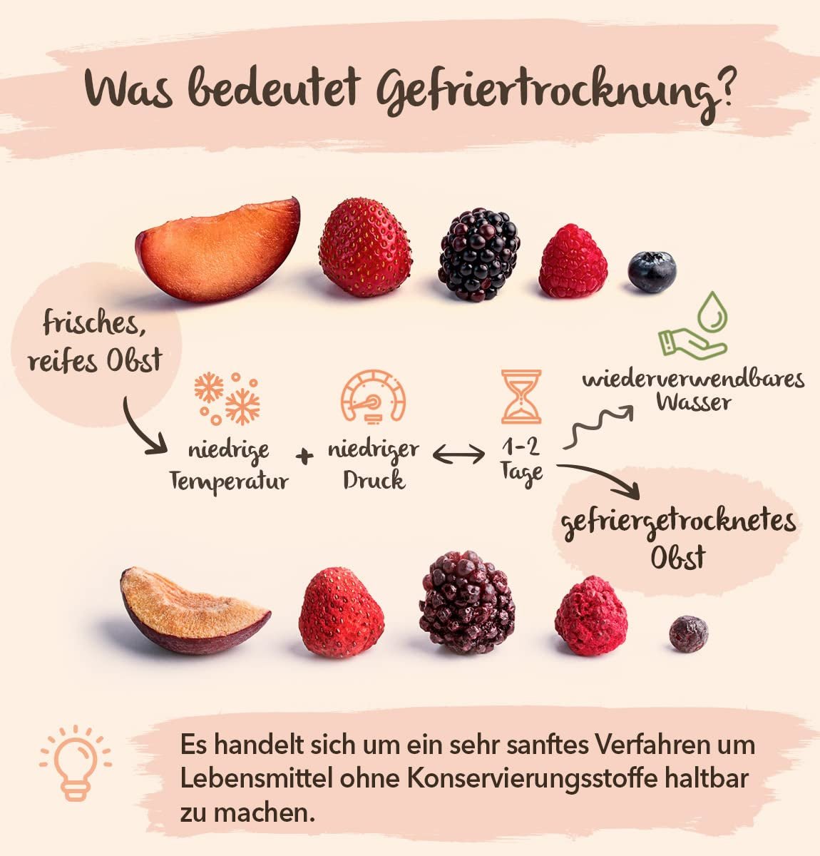 Gefriergetrocknete Aprikosen BRIX | Natürliche, getrocknete Aprikosen 85 g | Great Taste Award für Trockenfrüchte, getrocknet | GVO-frei, glutenfrei, vegan, konservierte Vitamine Naty Shop dehydrierte Produkte