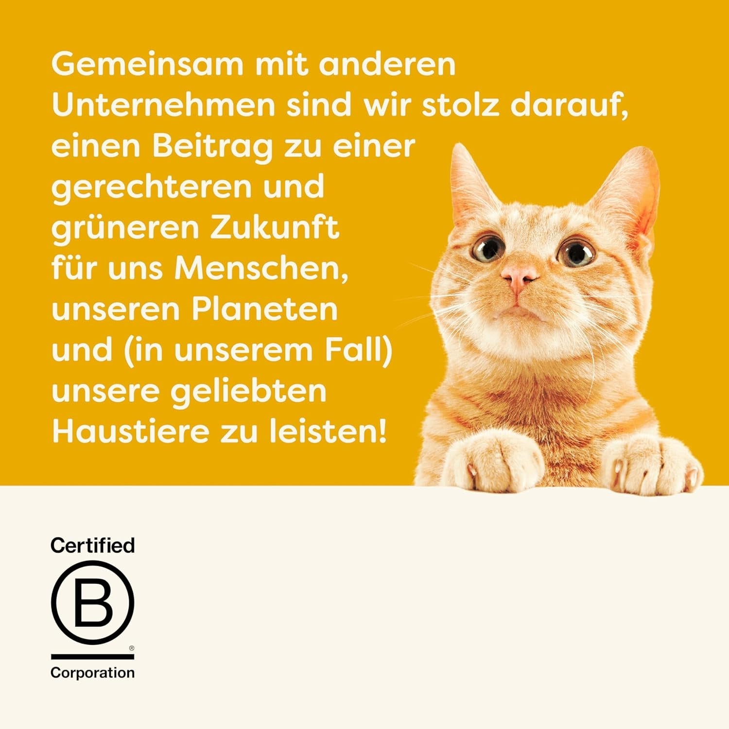 Applaws Cremiger, getreidefreier Hühnersnack für Katzen und Kätzchen, 32 Beutel x 15 g