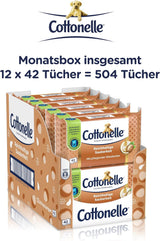 Feuchttücher, My Spa Experience – Kaschmir- und Sheabutter, biologisch abbaubar, plastikfrei, wiederverschließbar, Vorteilspackung, 12 x 42 Feuchttücher