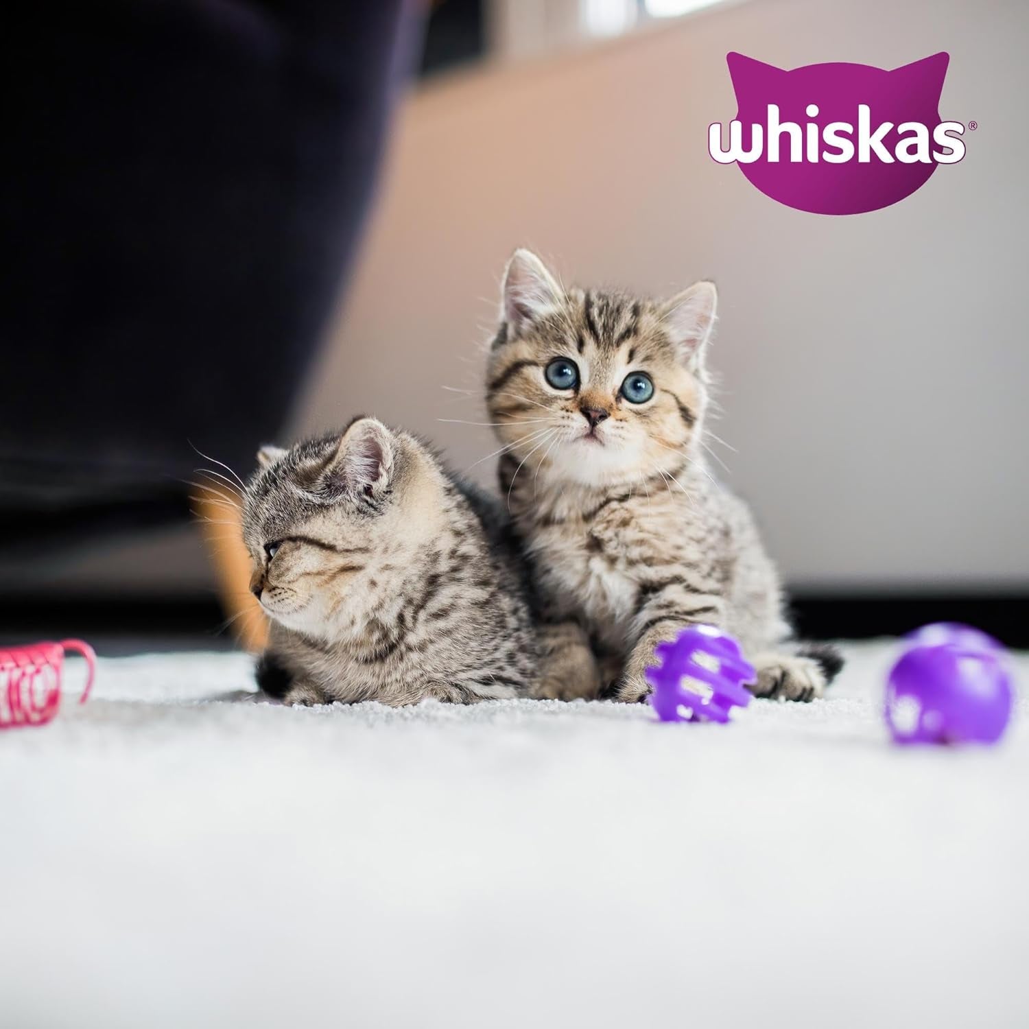 Whiskas Junior Classic Selection Nassfutter für Katzen in Soße, 48 Beutel, 12 x 85 g (4er-Packung) – Hochwertiges Nassfutter für heranwachsende Katzen, 2 bis 12 Monate