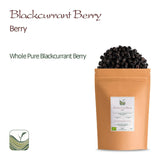 Bio ungesüßte schwarze Johannisbeeren – Getrocknete Johannisbeeren Fruchtige Beeren – ideal zum Backen Johannisbeeren Himbeeren Tee Schwarze Johannisbeeren Getrocknete schwarze Johannisbeeren Dehydrierte Produkte Naty Shop