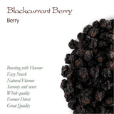 Bio ungesüßte schwarze Johannisbeeren – Getrocknete Johannisbeeren Fruchtige Beeren – ideal zum Backen Johannisbeeren Himbeeren Tee Schwarze Johannisbeeren Getrocknete schwarze Johannisbeeren Dehydrierte Produkte Naty Shop