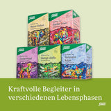 Salus - Krafttier Tee - Brave Dragonfly - 1X 15 Filterbeutel (24g) - Kräutertee mit Zitronengeschmack - Mit Johanniskraut - Aromatisiert - Bio