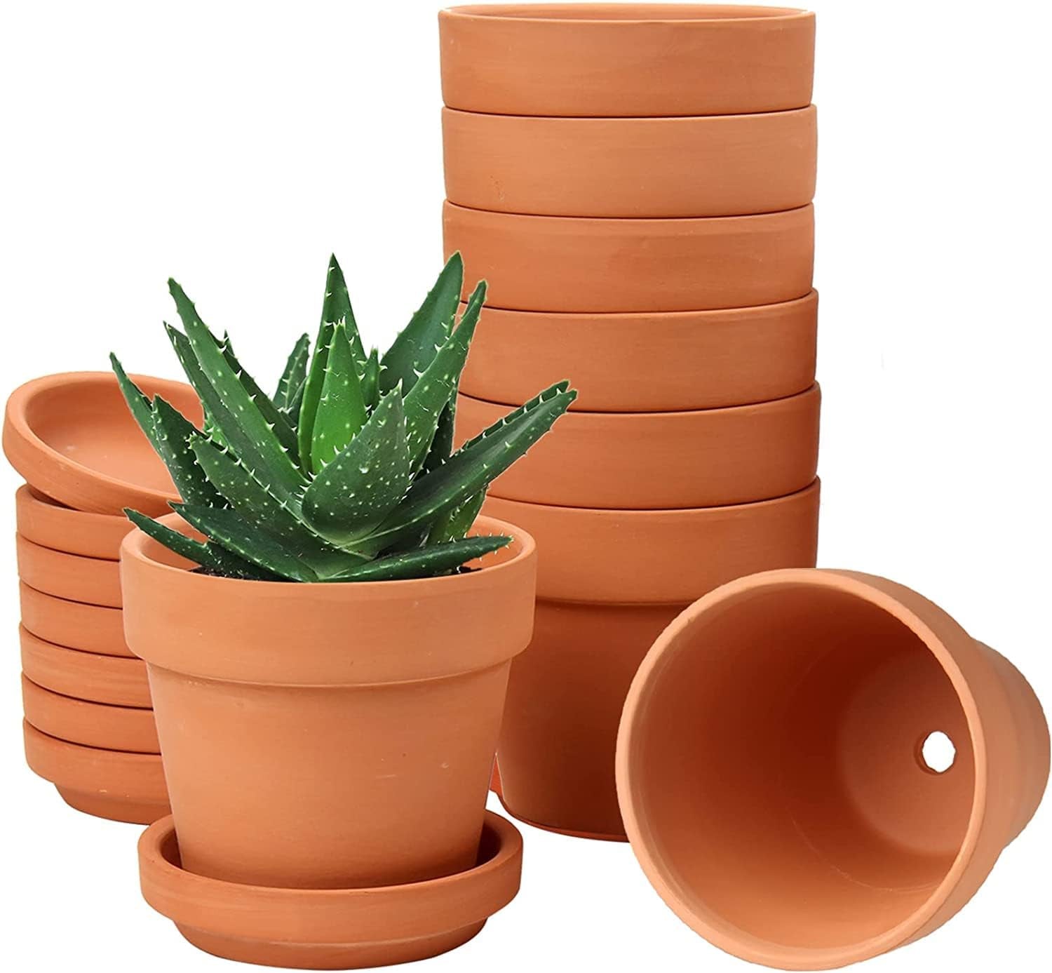 Hollyone 8-teiliges kleines Terrakotta-Pflanzgefäß-Set, 8 x 8 cm runde Tontöpfe mit Platte und Drainageloch, kleine Pflanzgefäße mit Tablett, Terrakotta-Sukkulentententöpfe für Zimmerpflanzen, Keramik-Pflanzgefäße