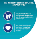 PURINA ONE Senior 7+ Nassfutter für Katzen, zarte Stücke in Hühnersauce, 26er Pack (26 x 85g)