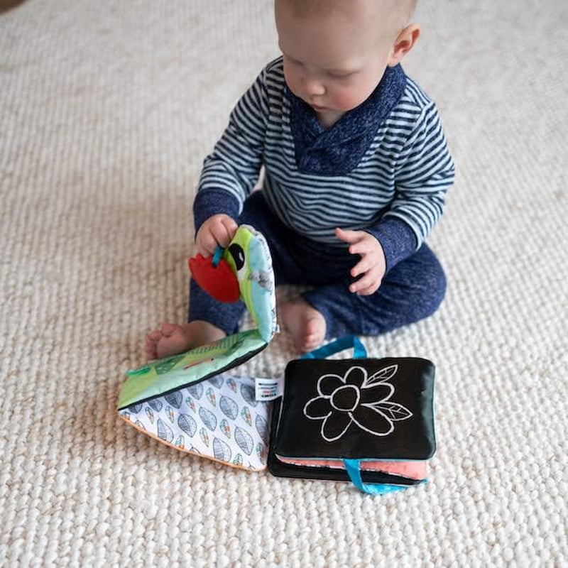Lamaze Buntes Raupenfahrgeschäft, Spielzeug für Neugeborene, sensorisches Babyspielzeug mit Farben und Geräuschen, Entwicklungsspielzeug für Jungen und Mädchen ab 6 Monaten, L27463 Babyspielzeug Naty Shop