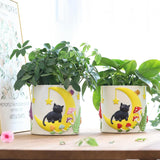 GUGUGO Niedliche Mondkatzen-Blumentöpfe, einzigartiger Blumentopf mit Drainage, Regenbogenfarben, kleine Zimmerpflanzentöpfe, lustige Sukkulenten-Gartentöpfe, Geschenk, Heimdekoration (C)
