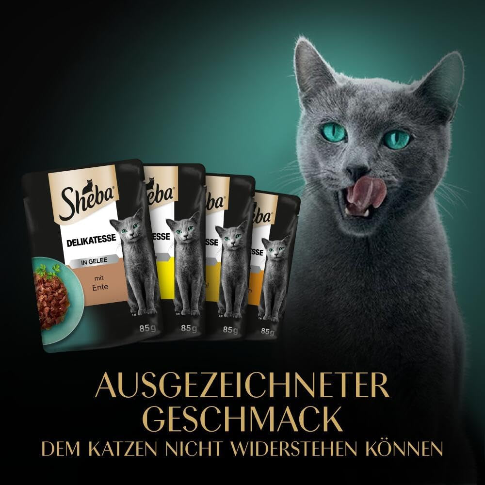 SHEBA Nassfutter für Katzen – 72 Beutel x 85 g – Geflügelsorte in Gelee – Nassfutter für Katzen – 1 große Packung